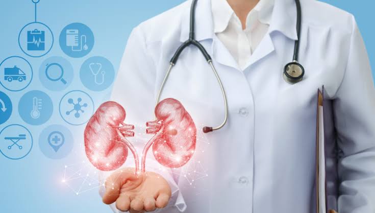 Urologia